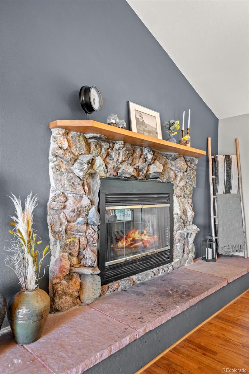 33172 Lynx Lane Evergreen, CO 80439 - Photo 9 of 45