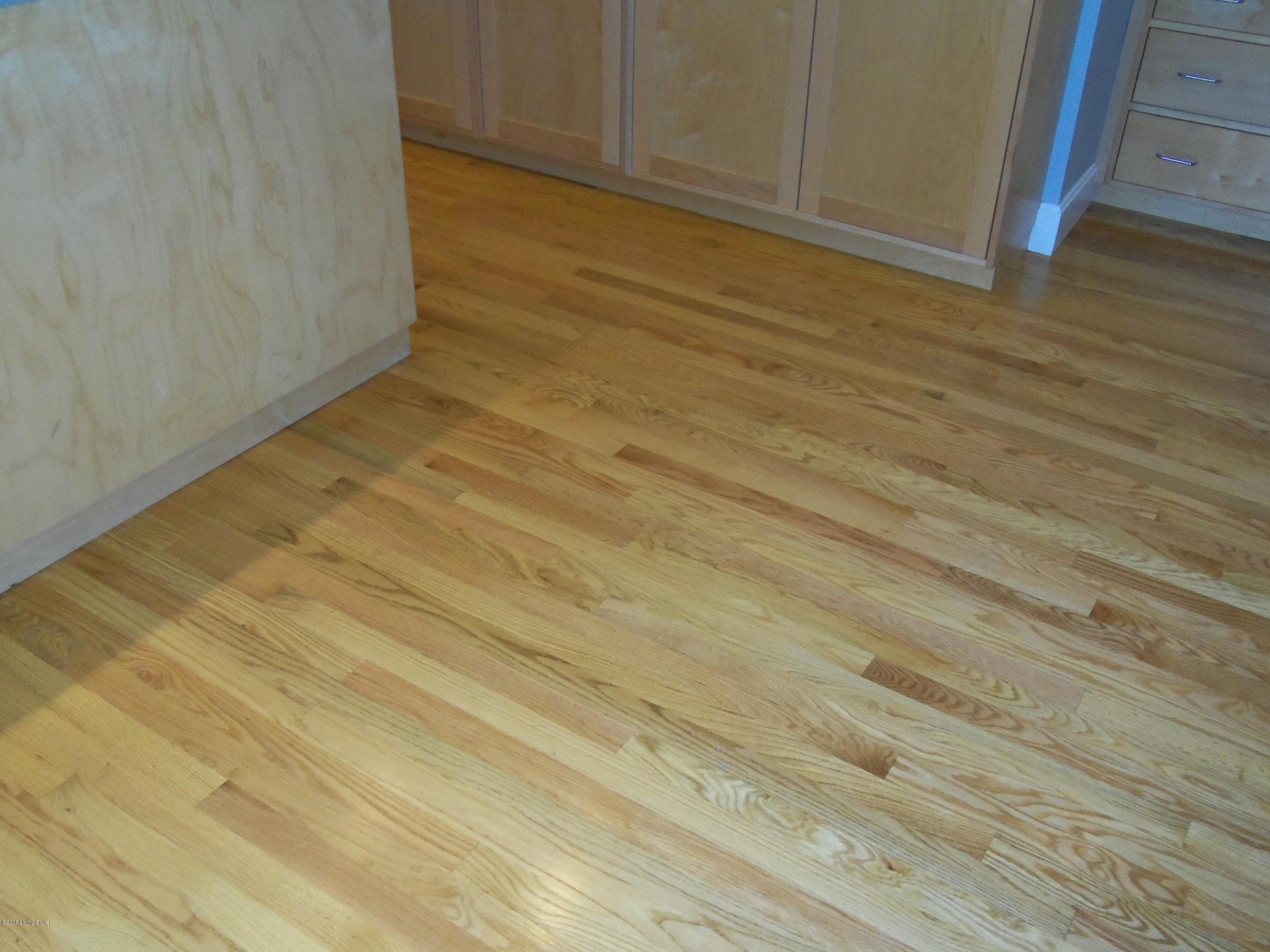73 Callabell Road Louisville, KY 40206 - Photo 20 of 57 100_2328