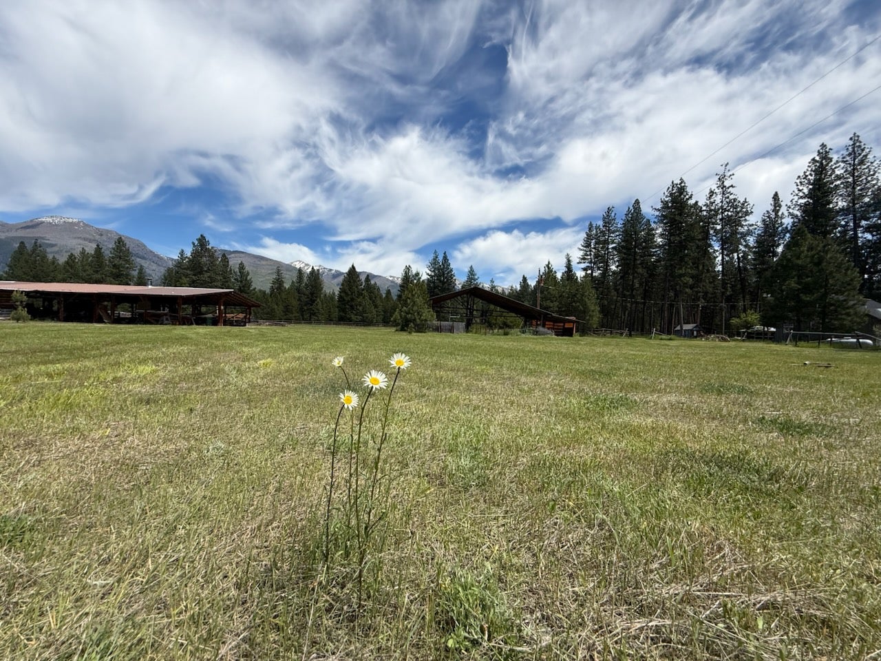 142 Hollopeter Road Condon, MT 59826 - Photo 66 of 70 Gallery Image 66
