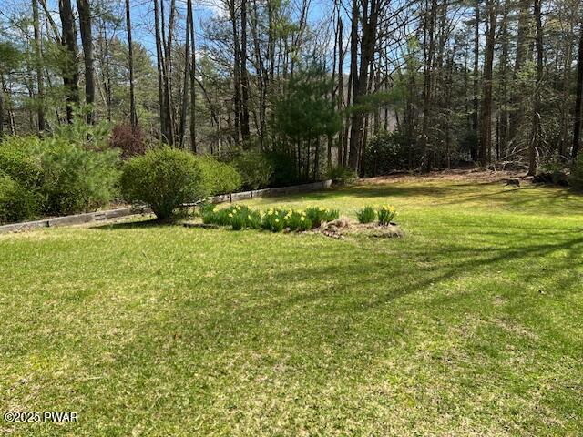 241 Lcpl Jacob Beisel Road Lackawaxen, PA 18435 - Photo 17 of 78 Yard to wooded area