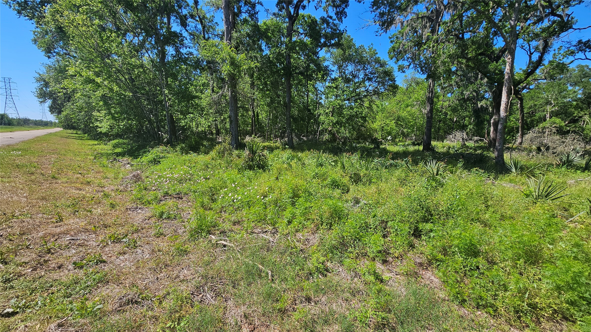 248 Middle Bayou Trail Angleton, TX 77515 - Photo 11 of 18 a view of a lush green space