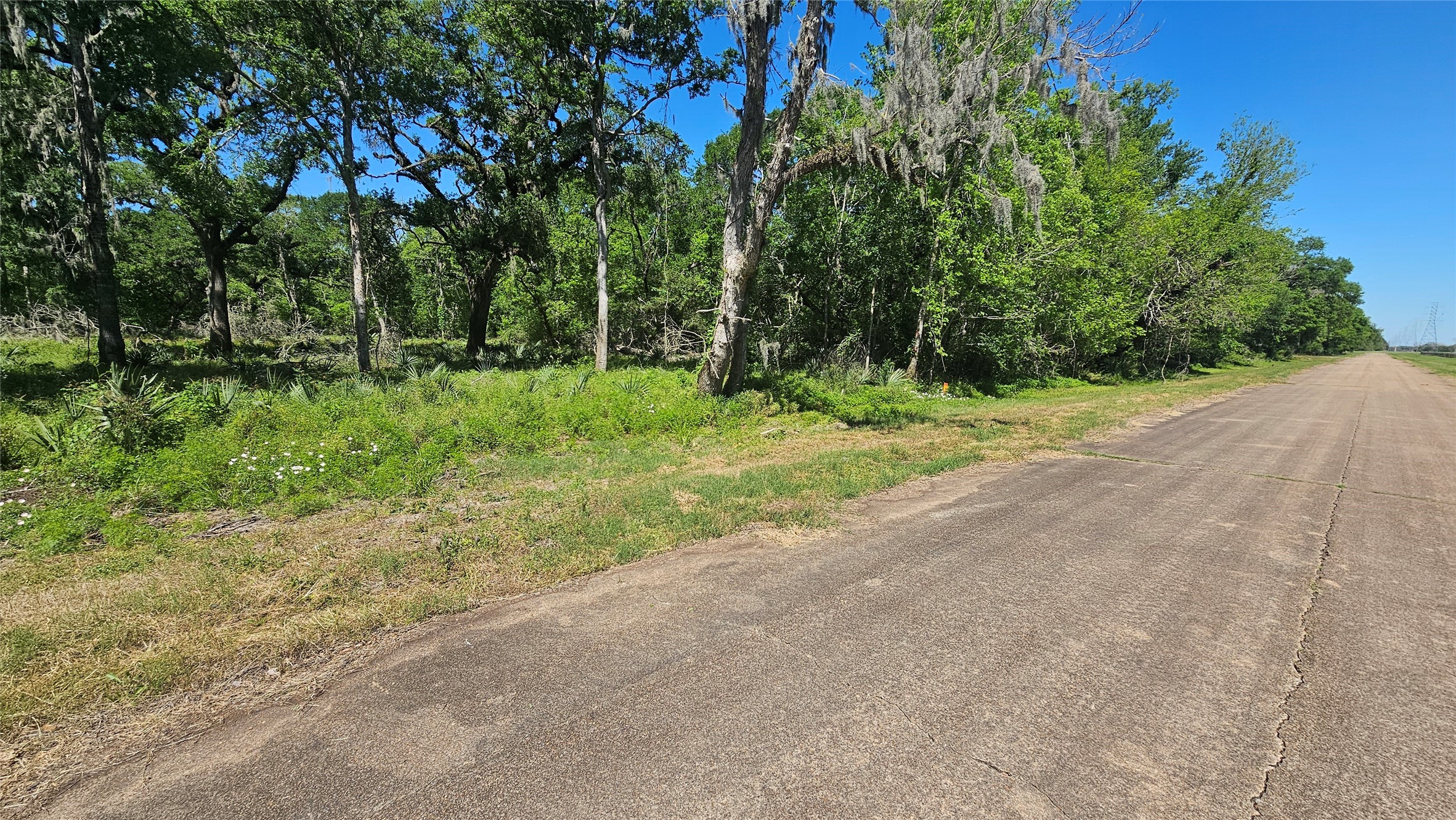 248 Middle Bayou Trail Angleton, TX 77515 - Photo 3 of 18 a big yard with trees in the background