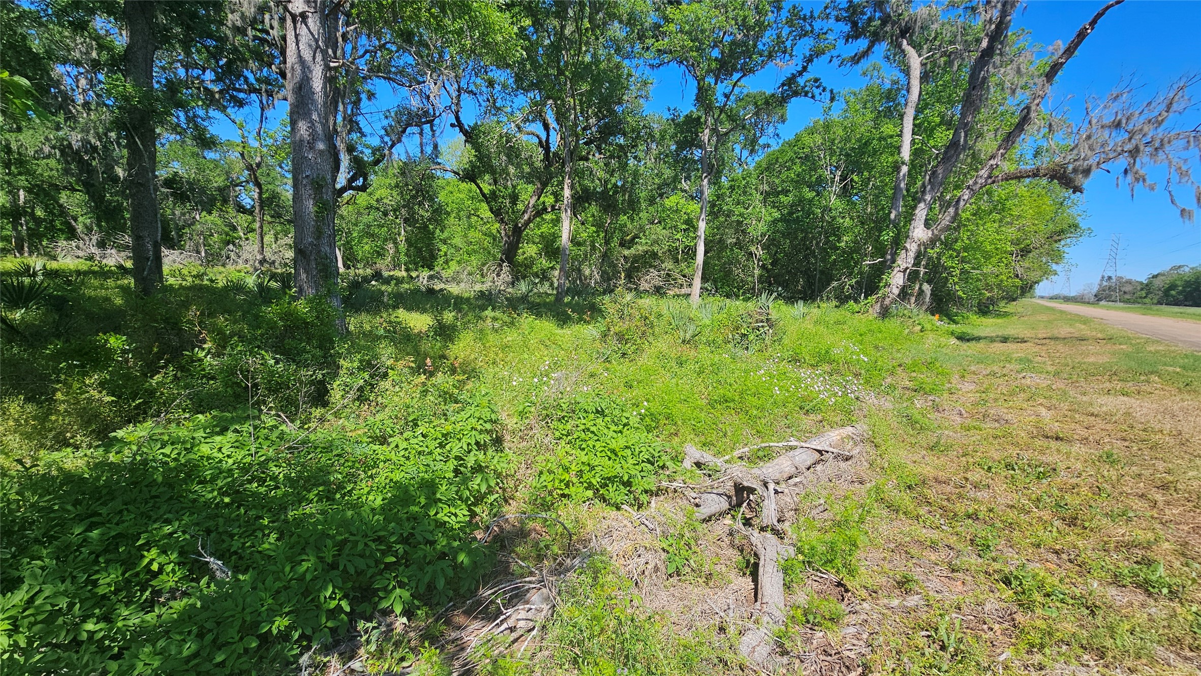 248 Middle Bayou Trail Angleton, TX 77515 - Photo 10 of 18 a view of outdoor space and yard