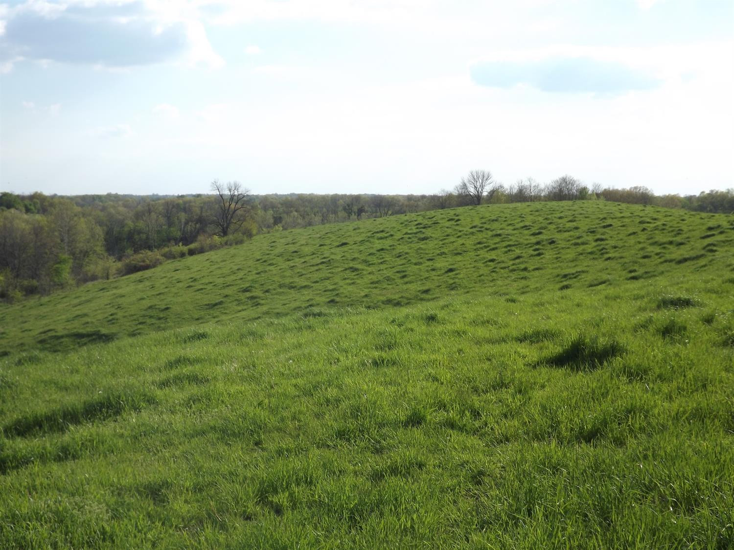 5000 Battle Road Mackville, KY 40040 - Photo 12 of 35 Photo 12