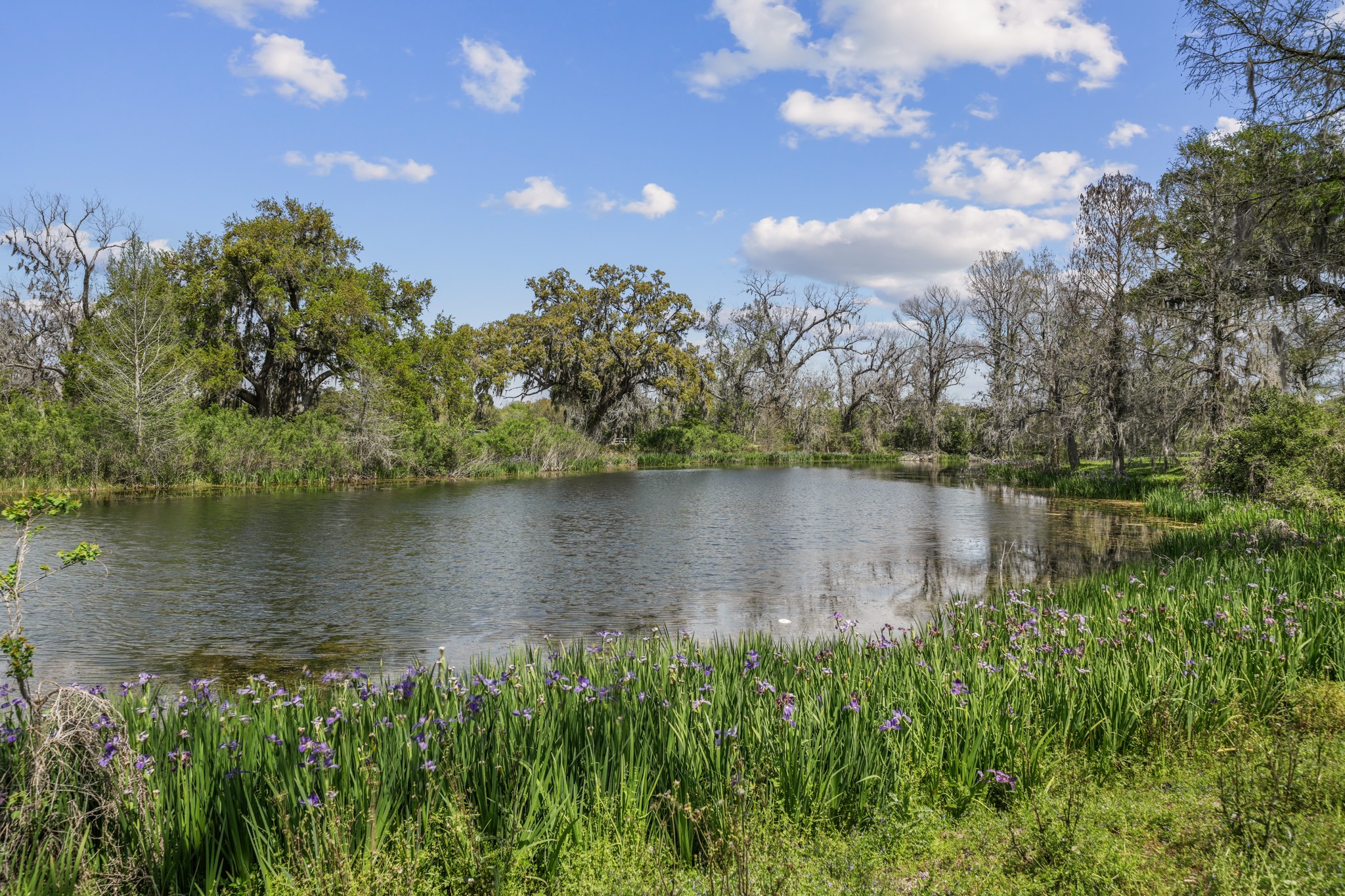 2261 Riverside Drive West Columbia, TX 77486 - Photo 38 of 44 Imagine your days fishing, bird watching and enjoying this backyard! Lined with wild purple iris and is so pretty right now!