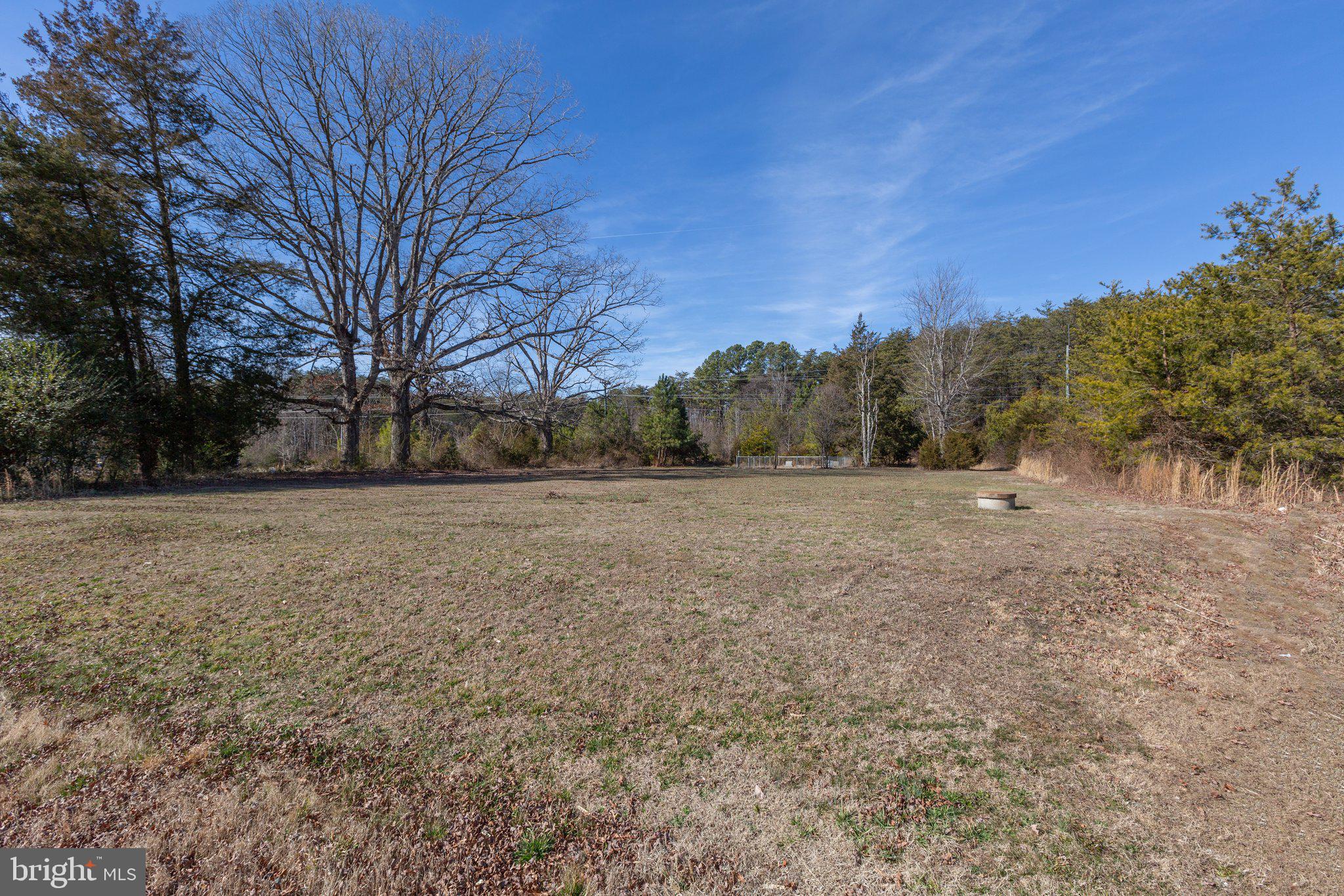 6220 Courthouse Road Spotsylvania, VA 22551 - Photo 12 of 15 Cleared area near Courthouse Rd.