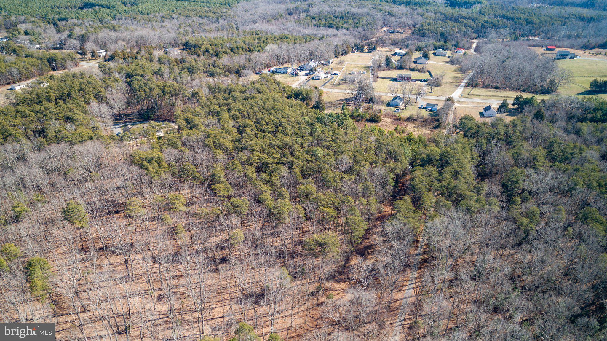 6220 Courthouse Road Spotsylvania, VA 22551 - Photo 5 of 15 View from back of lot,