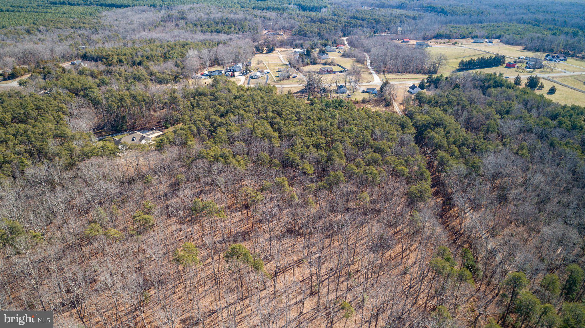 6220 Courthouse Road Spotsylvania, VA 22551 - Photo 6 of 15 Would make a beautiful home site!