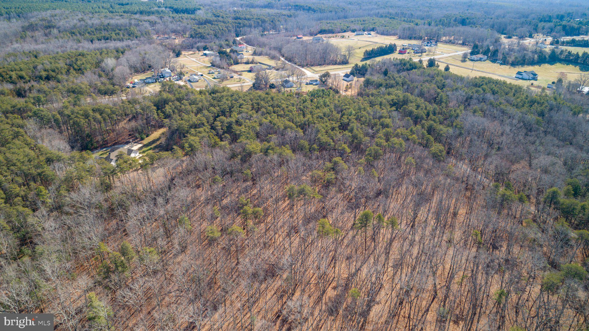 6220 Courthouse Road Spotsylvania, VA 22551 - Photo 7 of 15 Big enough for more than one home!