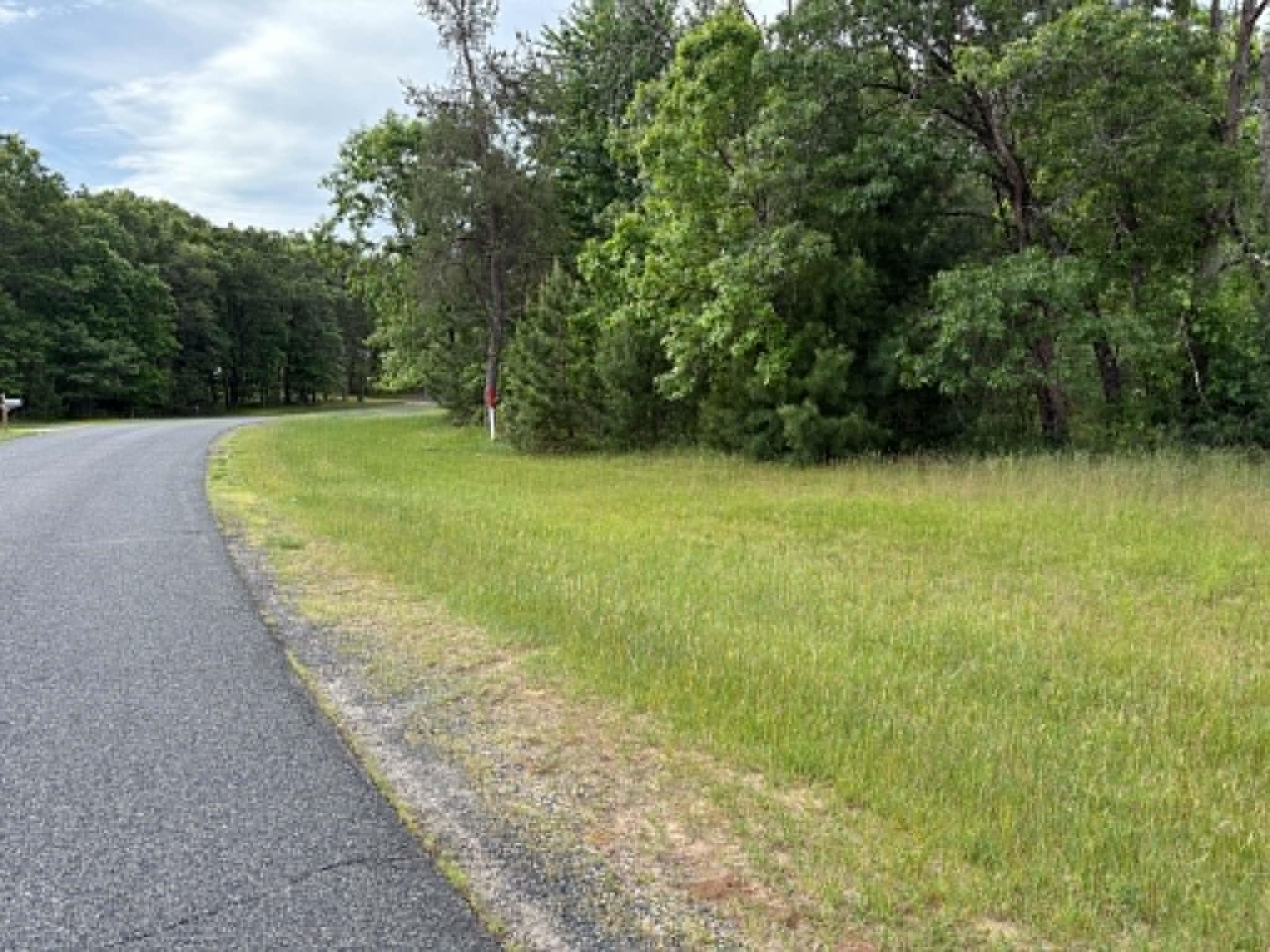 Lot 13 19th Friendship, WI 53934 - Photo 7 of 18