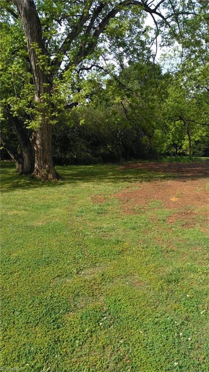 335 East Raleigh Avenue Liberty, NC 27298 - Photo 14 of 14