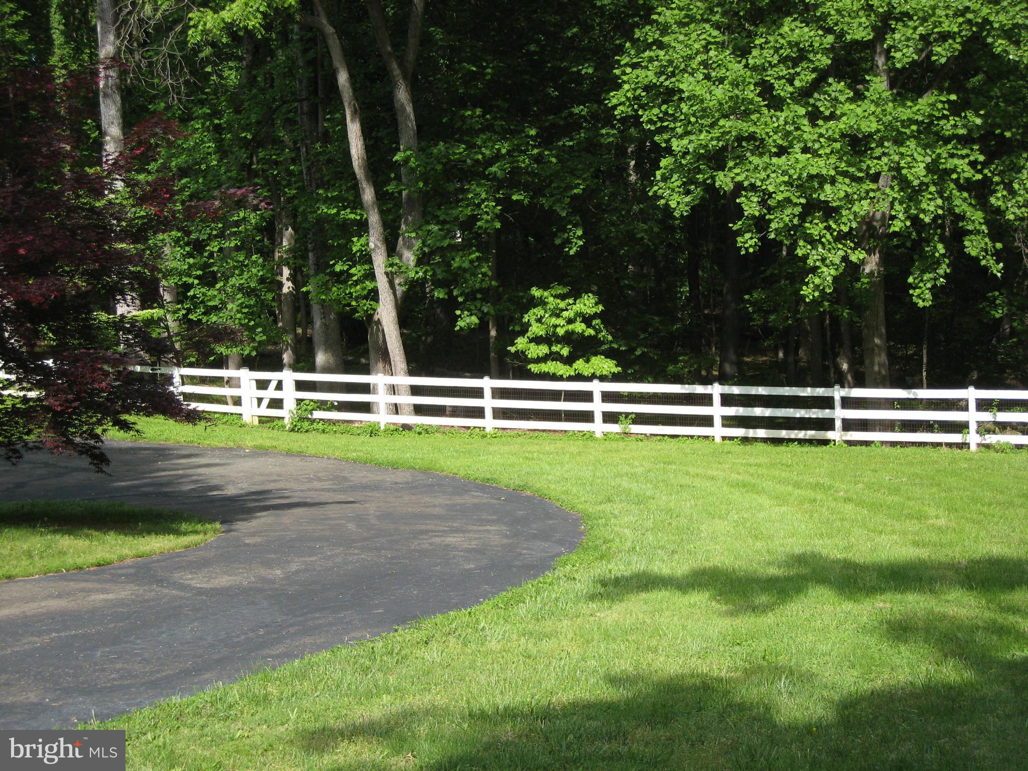 435 Utterback Store Road Great Falls, VA 22066 - Photo 27 of 30 Gently sloping grassy area