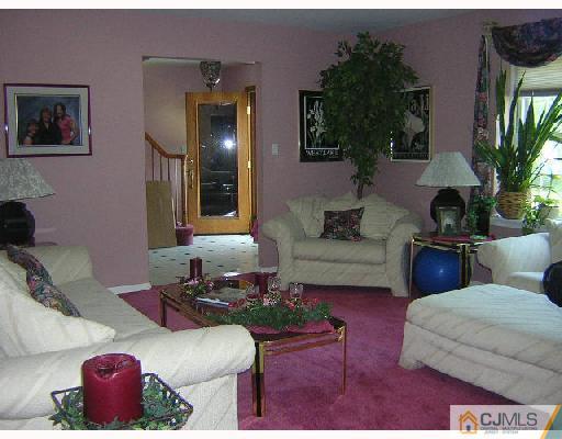 7 Bodnarik Road Edison, NJ 08837 - Photo 2 of 6 a living room with furniture and a potted plant