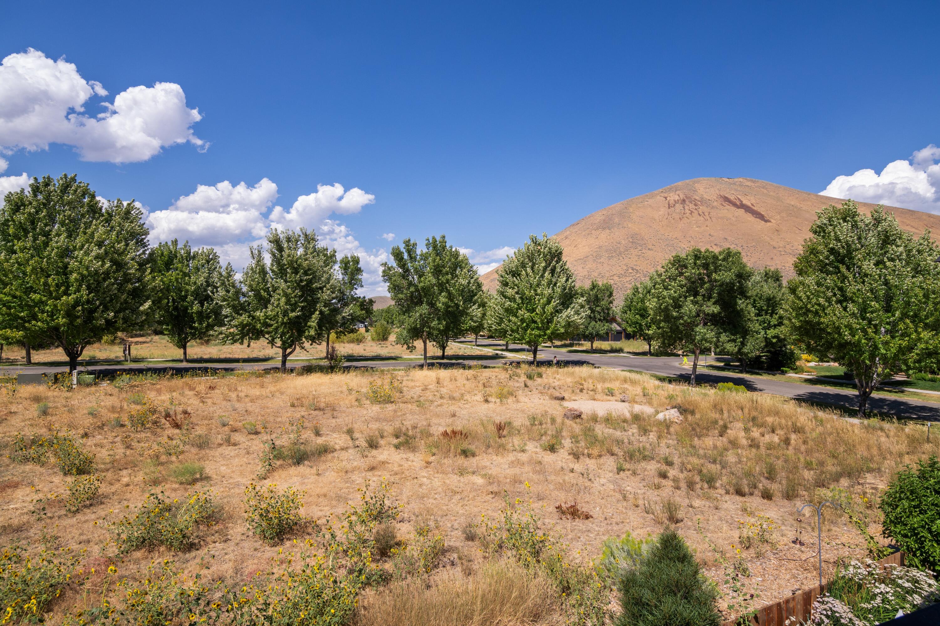 661 CD Olena Drive Hailey, ID 83333 - Photo 15 of 24 View From Deck
