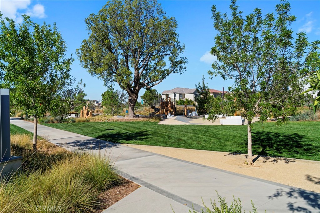 126 Scale Irvine, CA 92618 - Photo 48 of 75 a view of a park with plants and trees