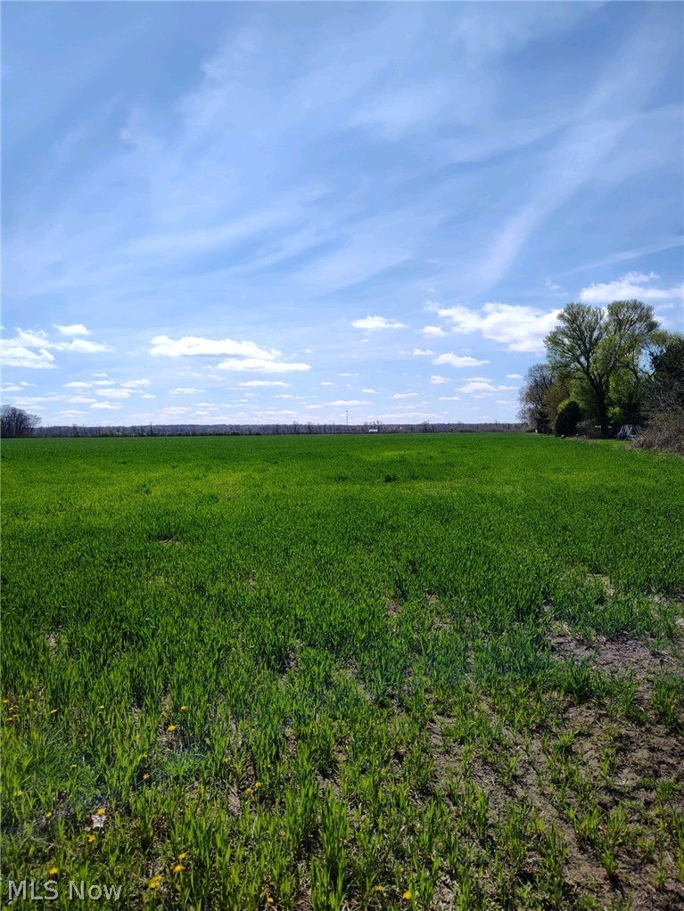 V/l West Lake Road Vermilion, OH 44089 - Photo 4 of 6 View of local wilderness