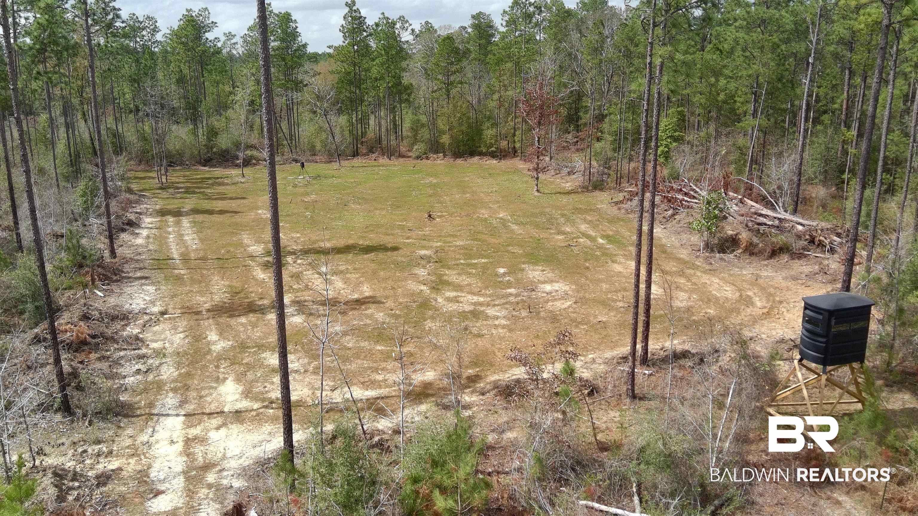 0 Paul Road Bay Minette, AL 36507 - Photo 11 of 19 1 Acre Food Plot