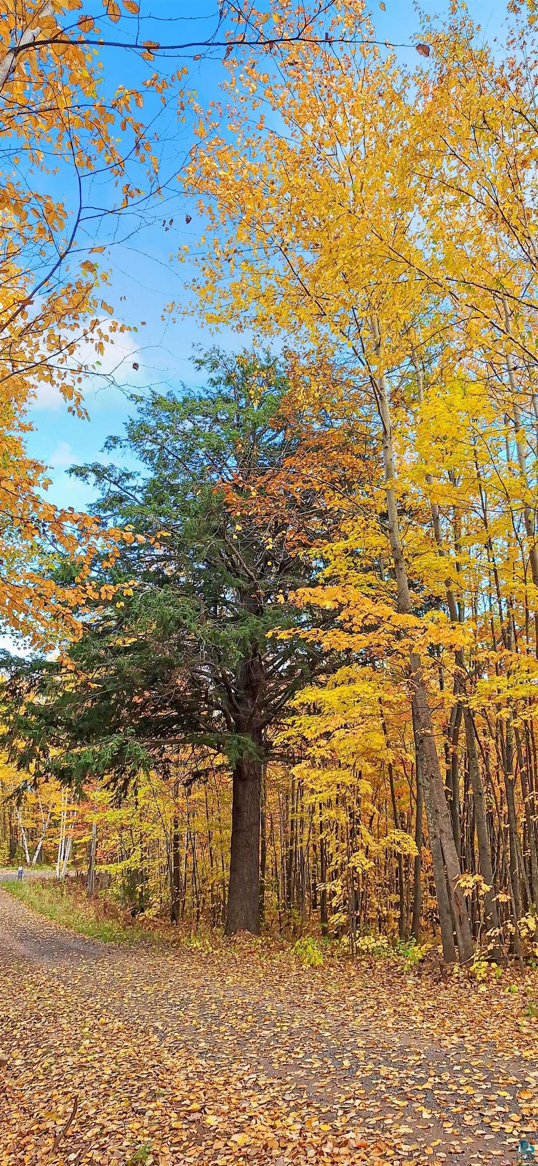 Xxx Apple Hill Road Bayfield, WI 54814 - Photo 4 of 18 Gallery Image 4