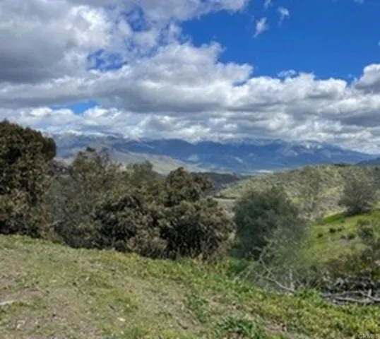 a view of a bunch of trees