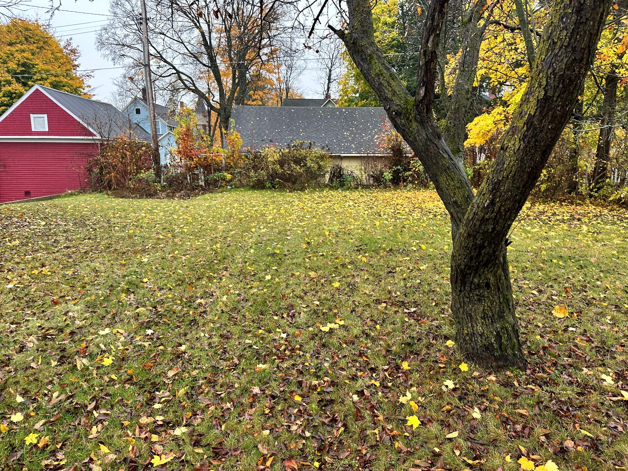 345 West Franklin Avenue Reed City, MI 49677 - Photo 3 of 15 IMG_1242