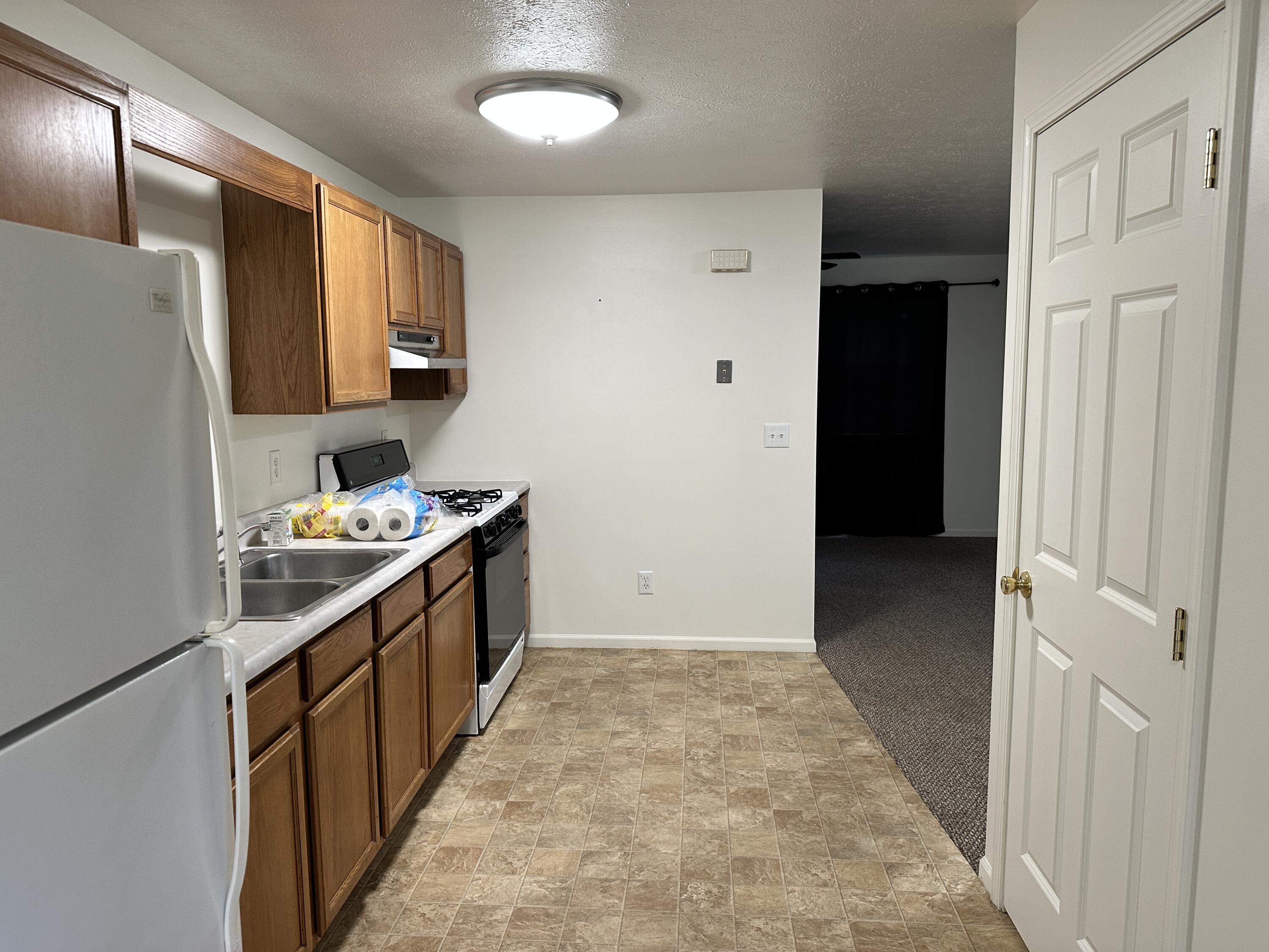 345 West Franklin Avenue Reed City, MI 49677 - Photo 7 of 15 IMG_1244