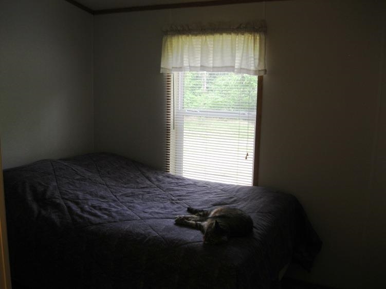 5676 Golden Road Southeast Kalkaska, MI 49646 - Photo 3 of 22 1787152-3.JPG
