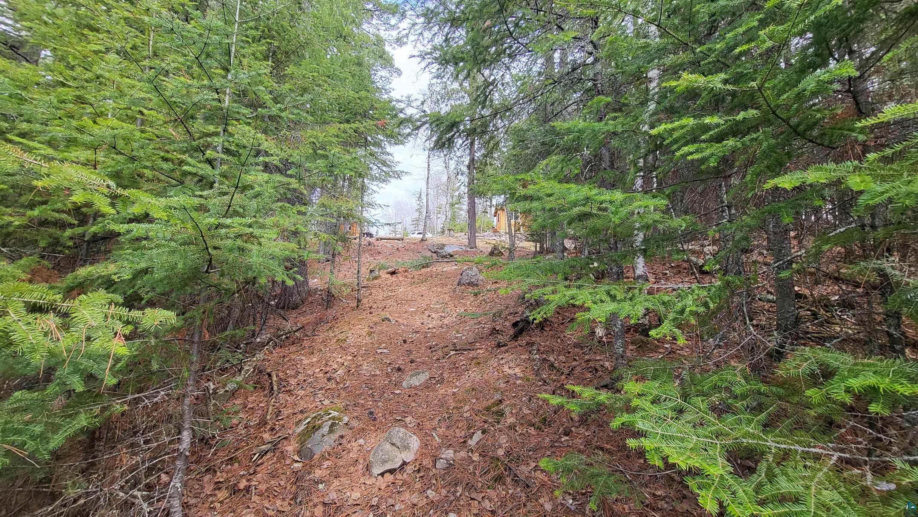 10894 Bessette Road Orr, MN 55771 - Photo 18 of 30