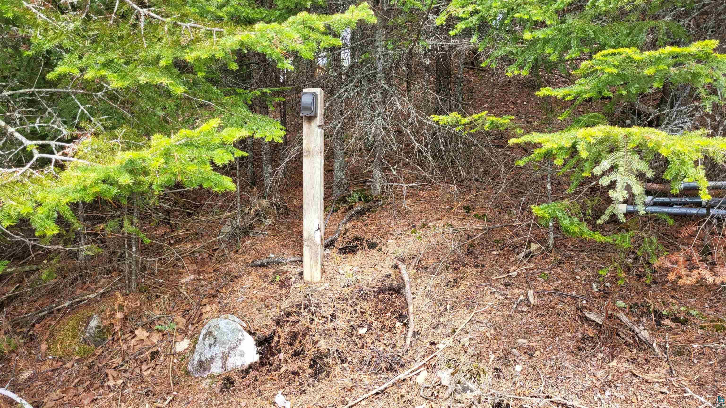 10894 Bessette Road Orr, MN 55771 - Photo 20 of 30