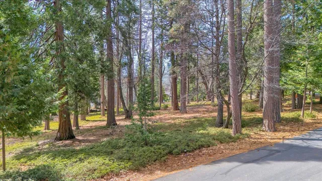 $249,000 | 5556 Wylderidge Drive, Murphys, CA 95247