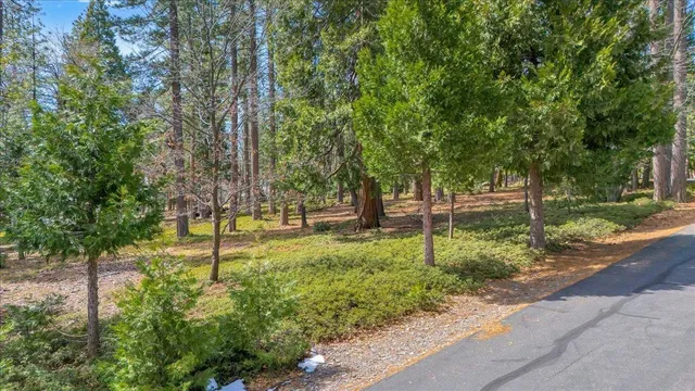 $249,000 | 5556 Wylderidge Drive, Murphys, CA 95247