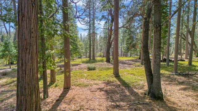 $249,000 | 5556 Wylderidge Drive, Murphys, CA 95247