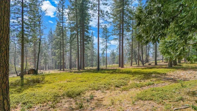 $249,000 | 5556 Wylderidge Drive, Murphys, CA 95247