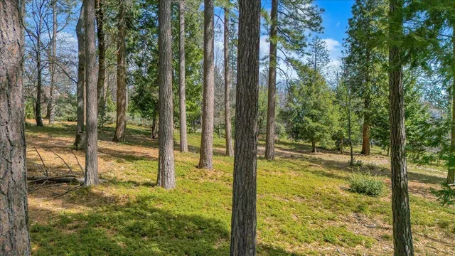 $249,000 | 5556 Wylderidge Drive, Murphys, CA 95247