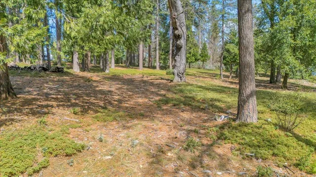 $249,000 | 5556 Wylderidge Drive, Murphys, CA 95247