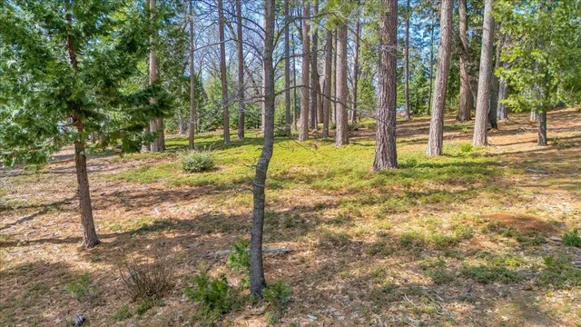 $249,000 | 5556 Wylderidge Drive, Murphys, CA 95247