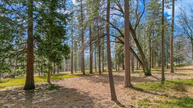 $249,000 | 5556 Wylderidge Drive, Murphys, CA 95247