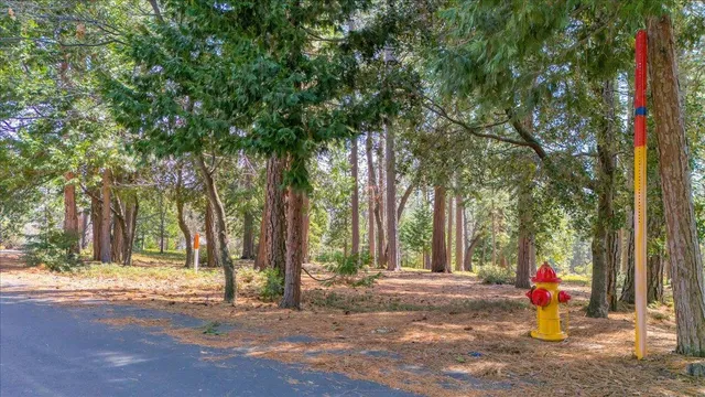 $249,000 | 5556 Wylderidge Drive, Murphys, CA 95247