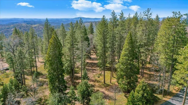 $249,000 | 5556 Wylderidge Drive, Murphys, CA 95247