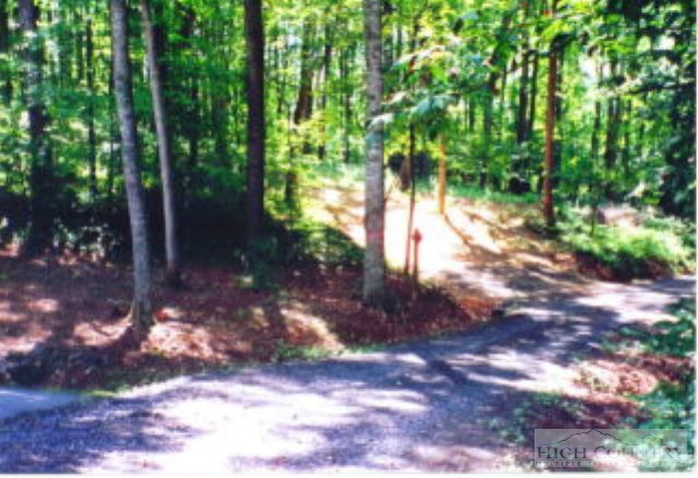 Lot # Bear Run Road Lansing, NC 28643 - Photo 1 of 7 a view of a yard