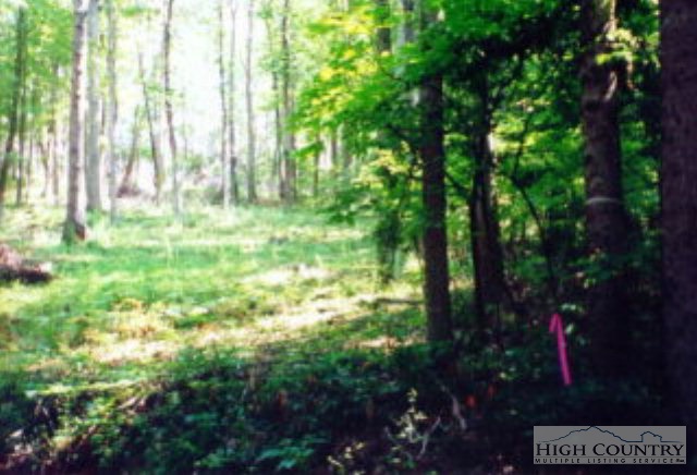 Lot # Bear Run Road Lansing, NC 28643 - Photo 2 of 7 a view of outdoor space and trees all around