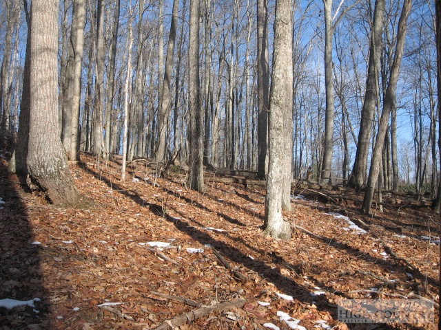 Lot # Bear Run Road Lansing, NC 28643 - Photo 3 of 7 a view of a backyard with pathway