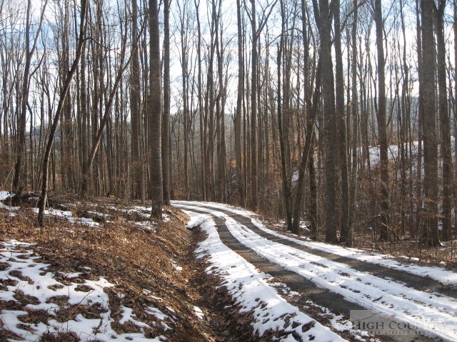 Lot # Bear Run Road Lansing, NC 28643 - Photo 4 of 7