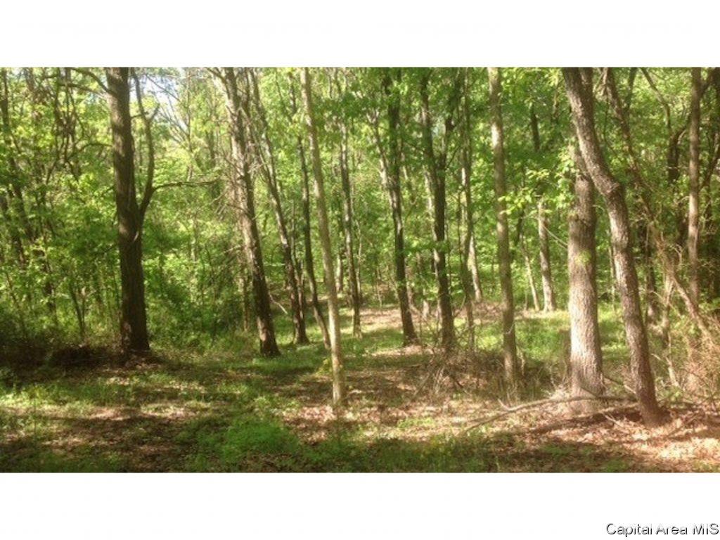 1160 Union Grove Avenue Greenville, IL 62246 - Photo 11 of 11