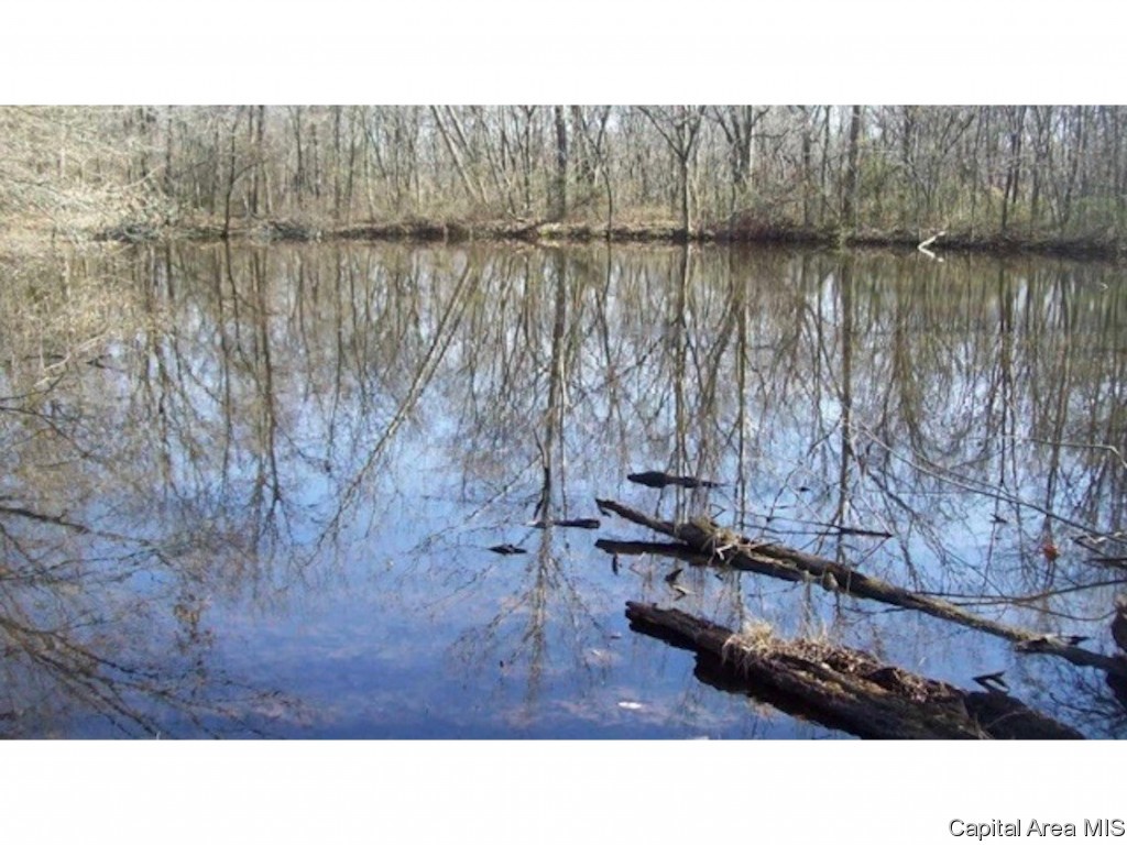 1160 Union Grove Avenue Greenville, IL 62246 - Photo 3 of 11