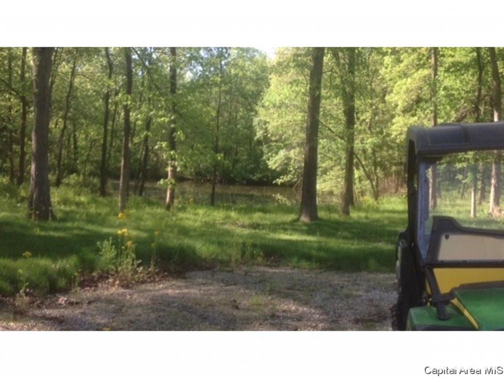 1160 Union Grove Avenue Greenville, IL 62246 - Photo 4 of 11