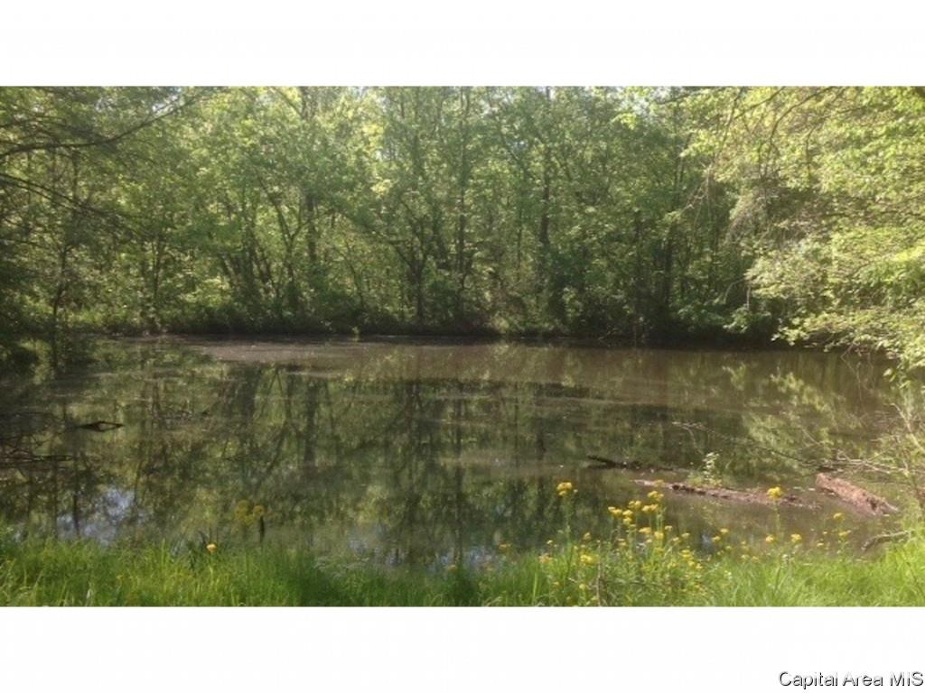 1160 Union Grove Avenue Greenville, IL 62246 - Photo 5 of 11