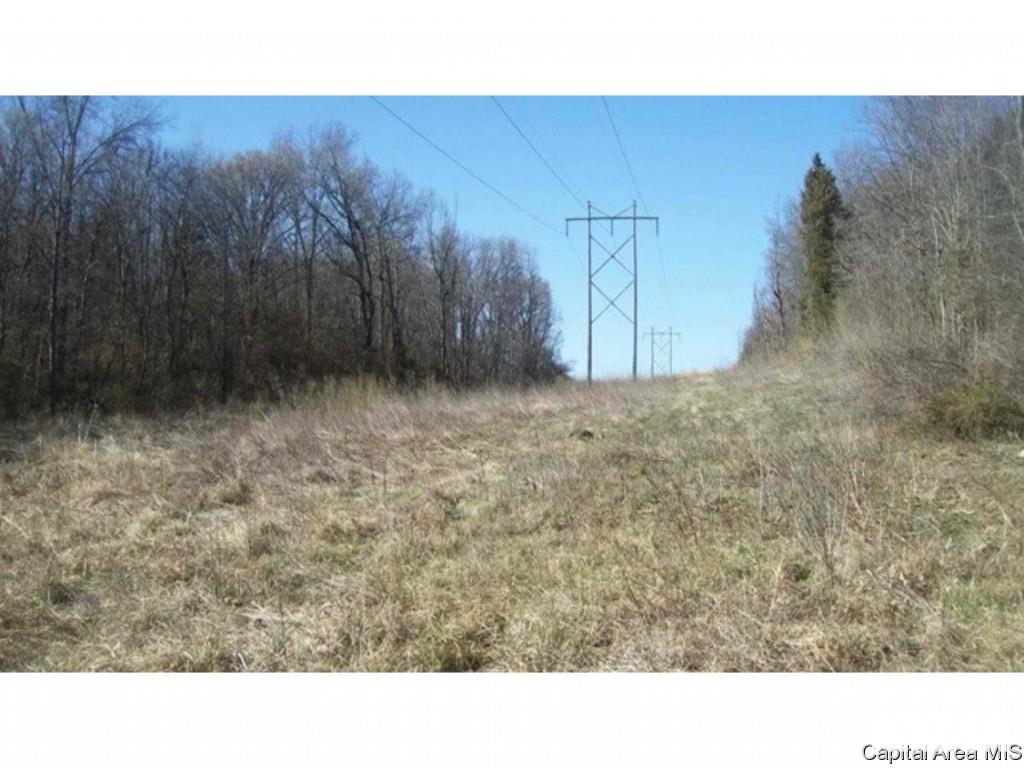 1160 Union Grove Avenue Greenville, IL 62246 - Photo 6 of 11