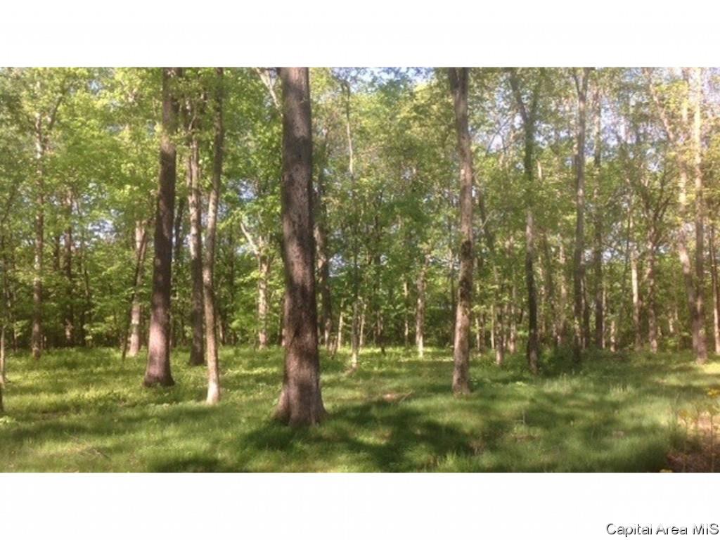 1160 Union Grove Avenue Greenville, IL 62246 - Photo 8 of 11