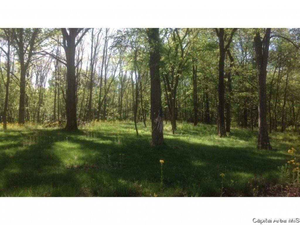 1160 Union Grove Avenue Greenville, IL 62246 - Photo 9 of 11