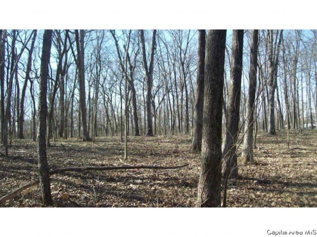 1160 Union Grove Avenue Greenville, IL 62246 - Photo 10 of 11